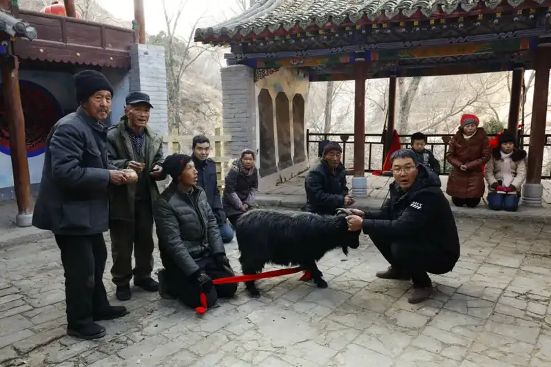 分享会配图