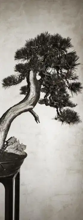 分享会配图