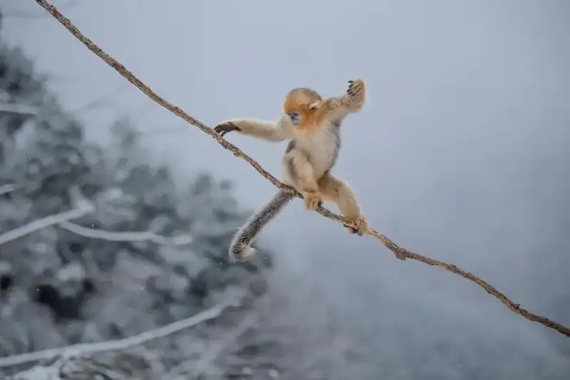 分享会配图