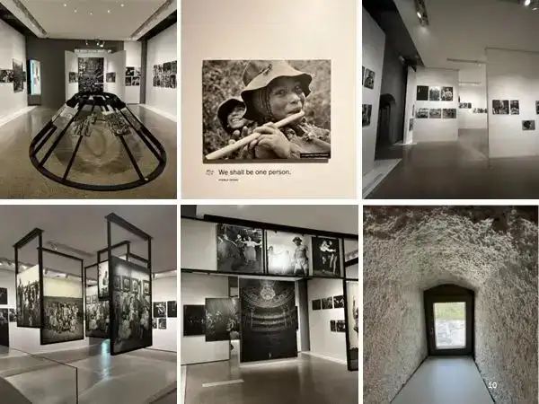 分享会配图
