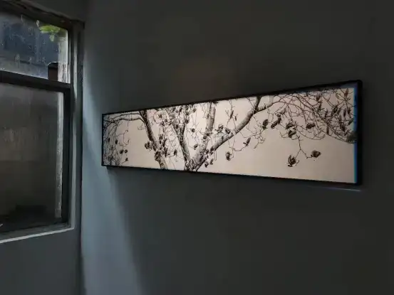 分享会配图