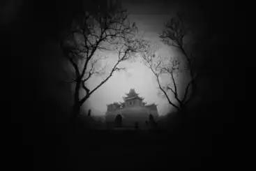 分享会配图