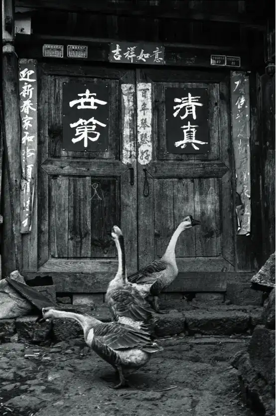 分享会配图