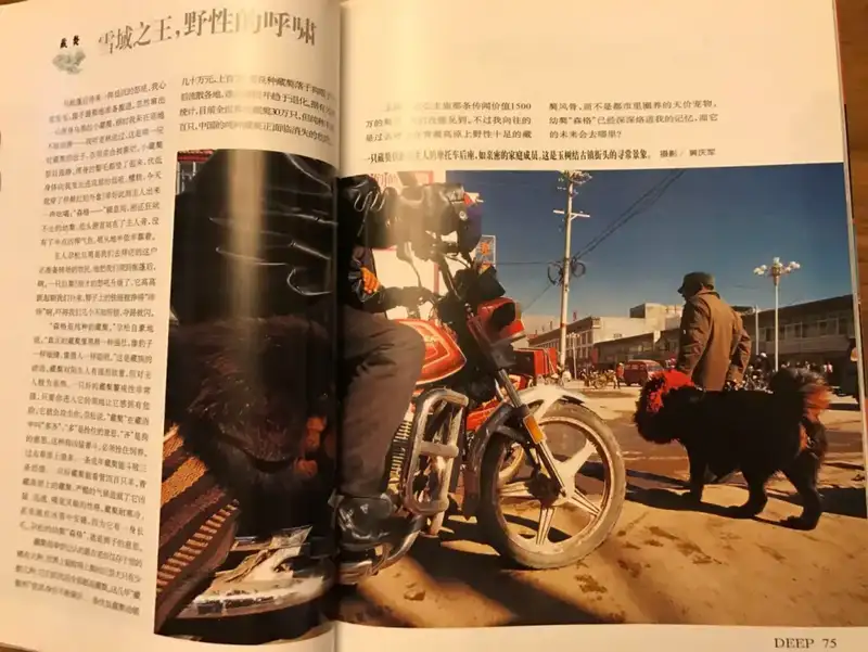 分享会配图