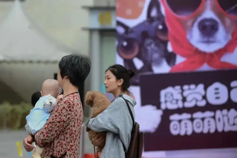 分享会配图