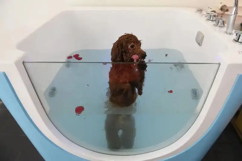 分享会配图