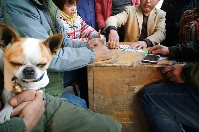 分享会配图