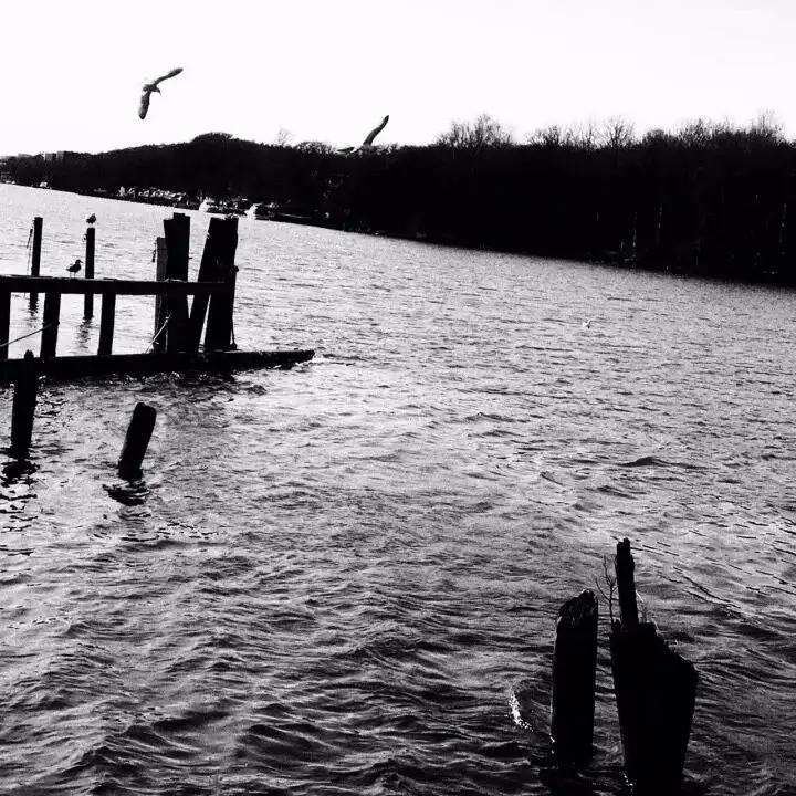 分享会配图