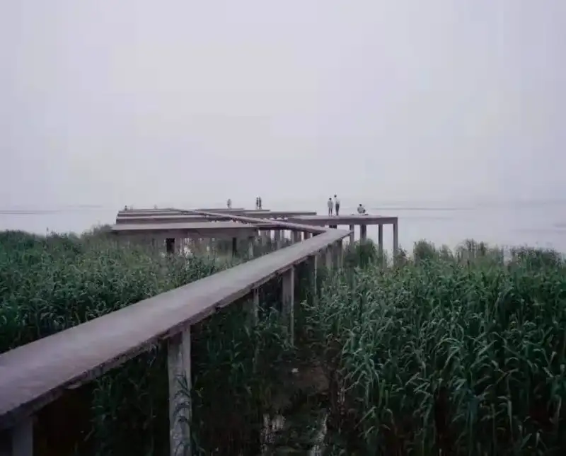 分享会配图