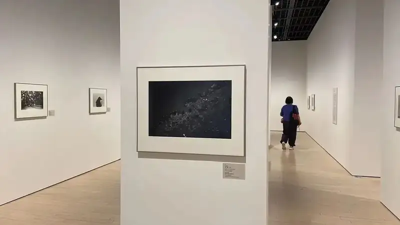 分享会配图