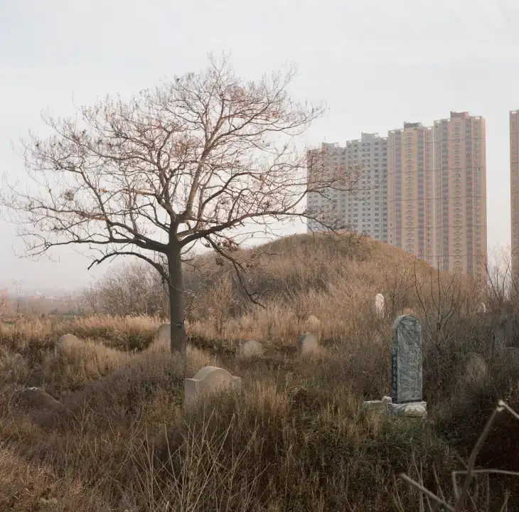 分享会配图