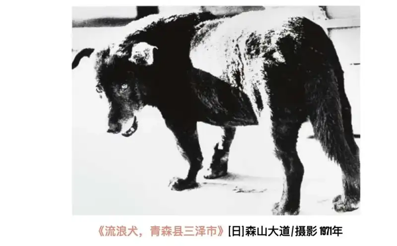 分享会配图
