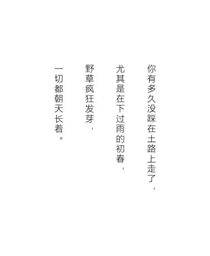 分享会配图