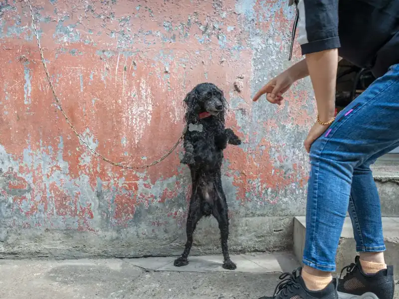 分享会配图