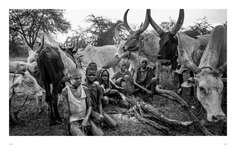 分享会配图