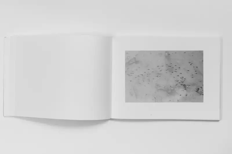 分享会配图