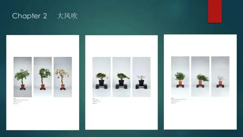 分享会配图