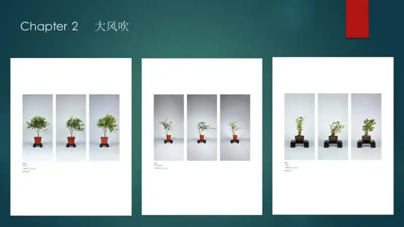 分享会配图
