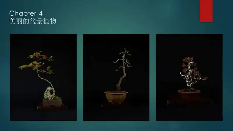 分享会配图
