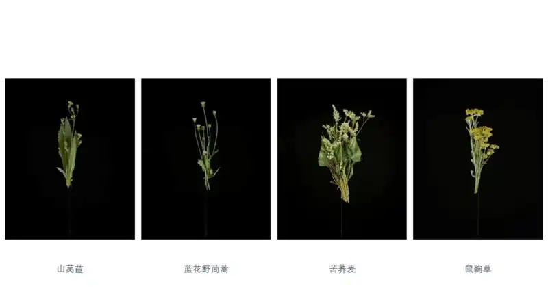 分享会配图