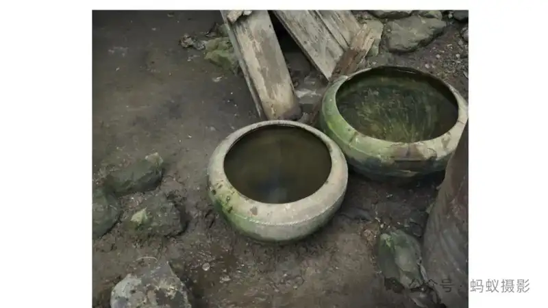 分享会配图