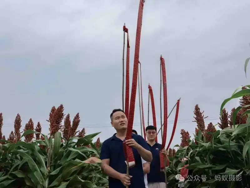 分享会配图