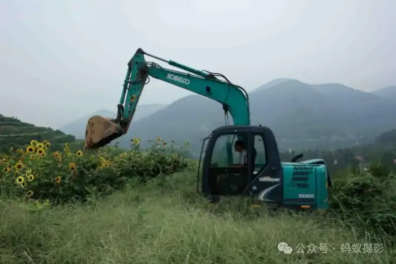 分享会配图