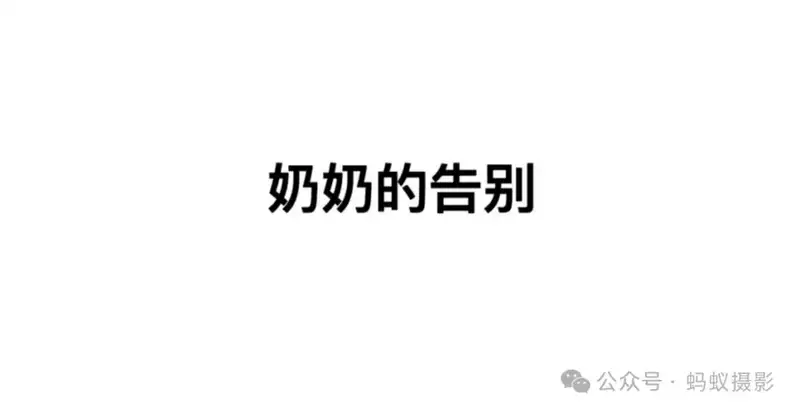分享会配图