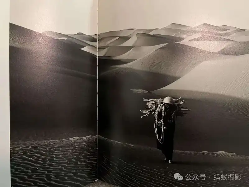 分享会配图