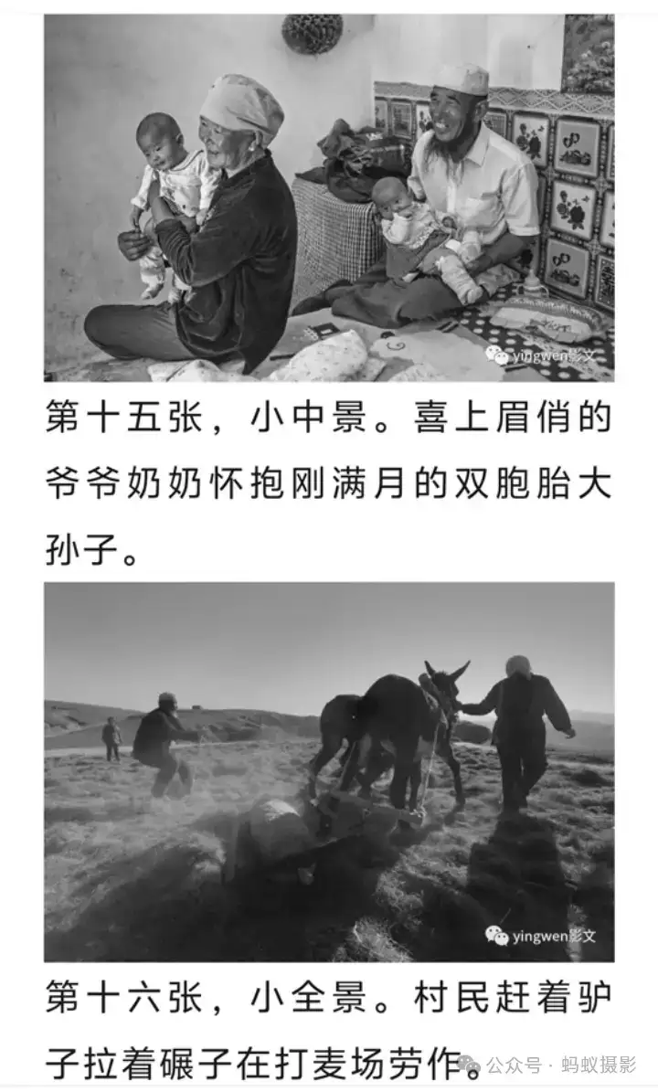 分享会配图