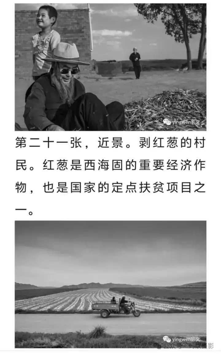 分享会配图