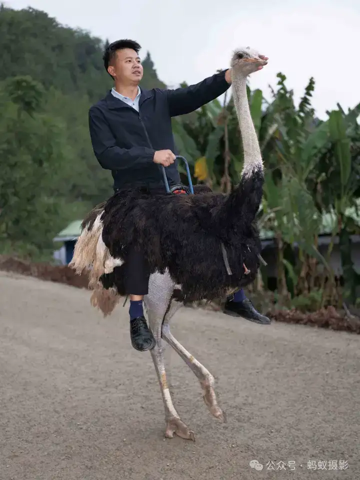 分享会配图