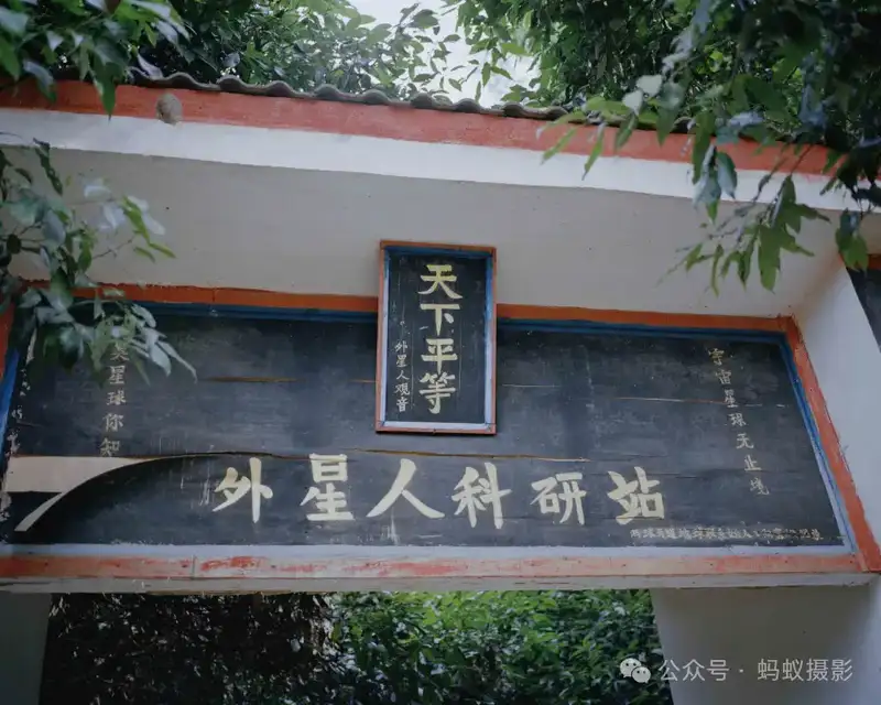 分享会配图