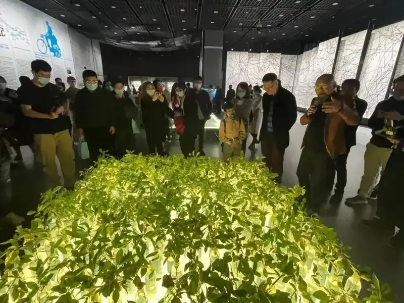 分享会配图