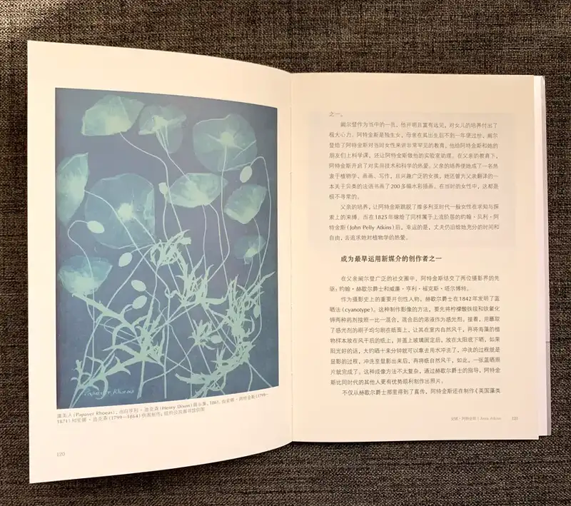分享会配图