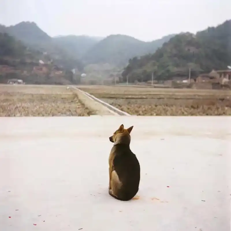 分享会配图