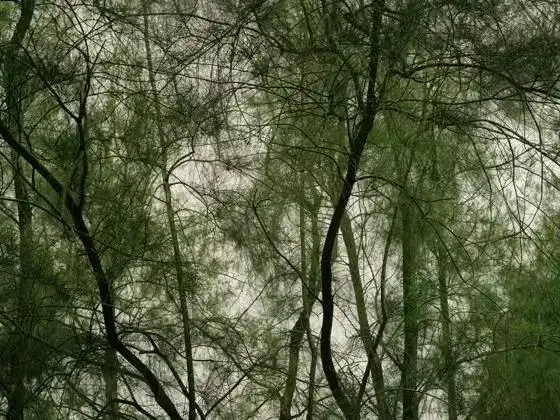 分享会配图