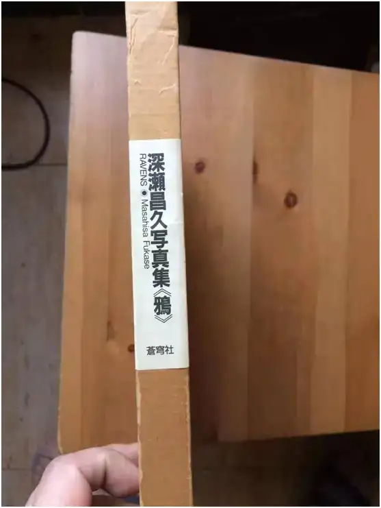分享会配图