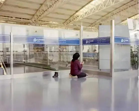 分享会配图